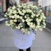 51 кустовая белая роза Сноуфлейк в бархатной коробке
